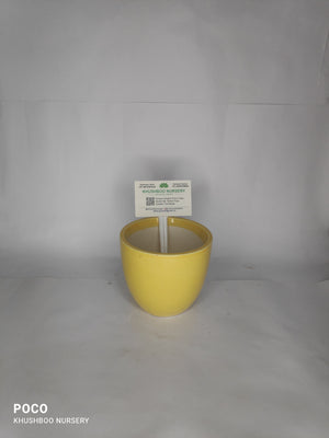 Ceramic Pot: Square Tapered (Small/Medium)