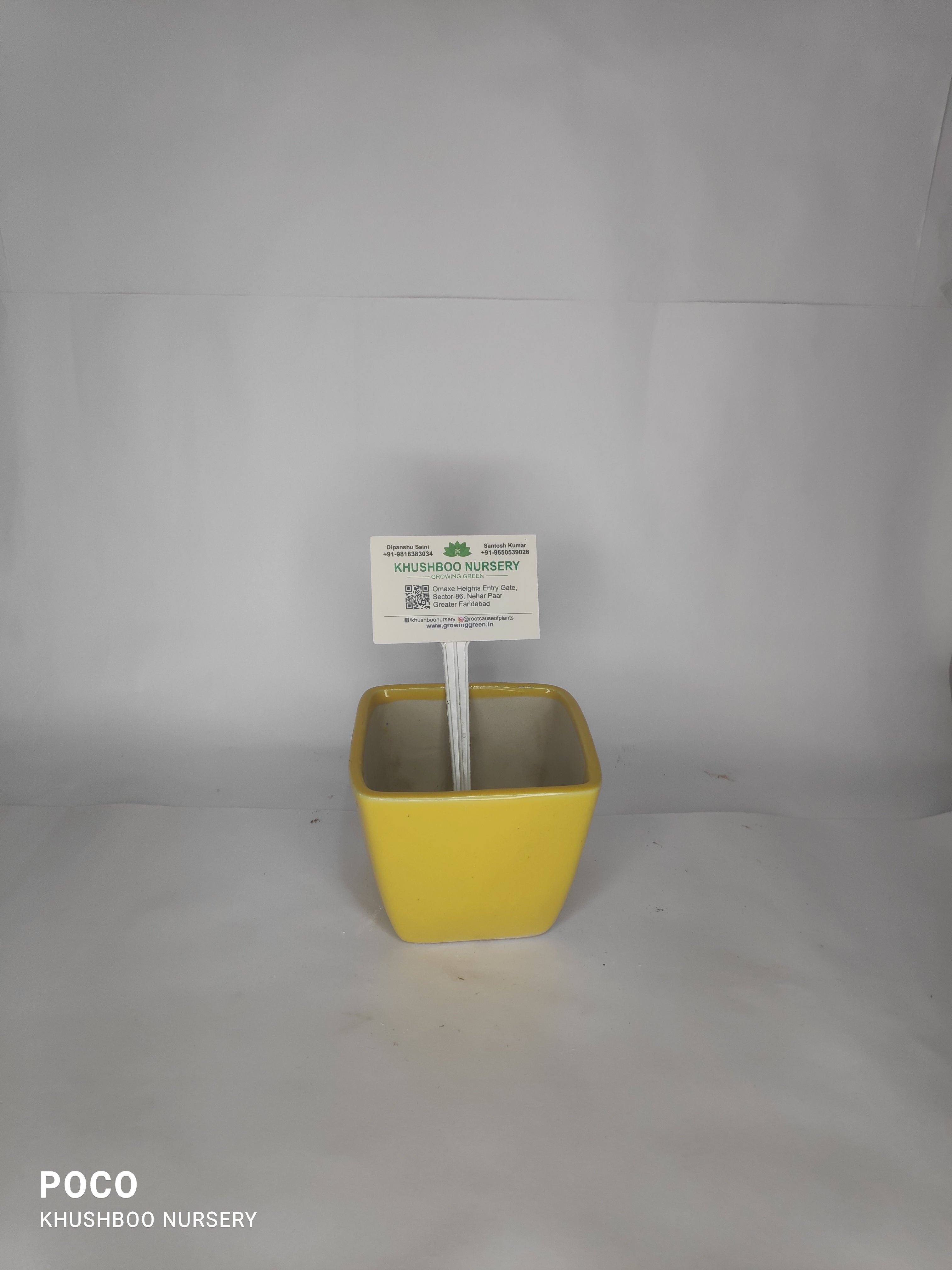 Ceramic Pot: Square Tapered (Small/Medium)