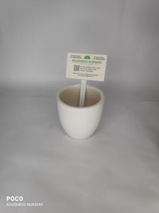 Ceramic Pot: Kulhad Medium (White Only)