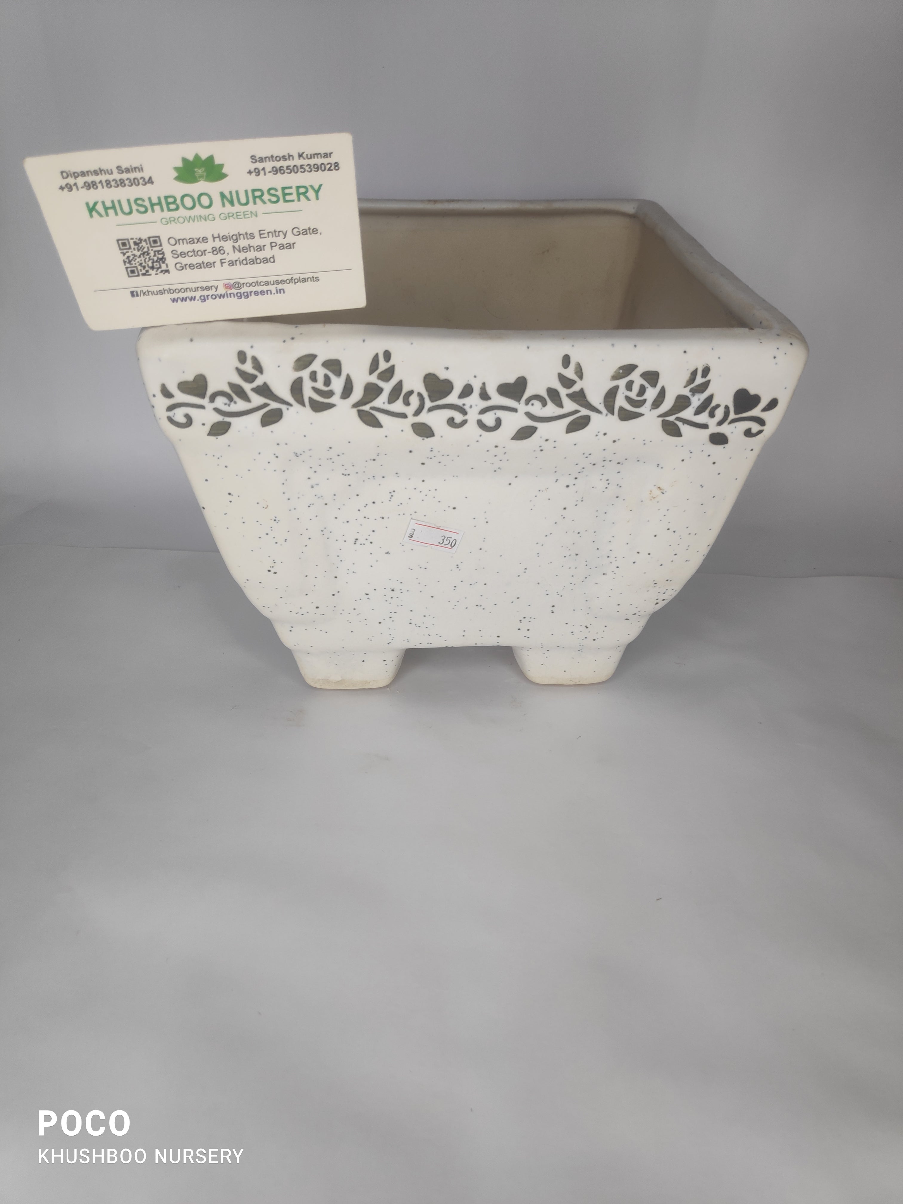 Ceramic Pot: Pedestal Square Bonsai