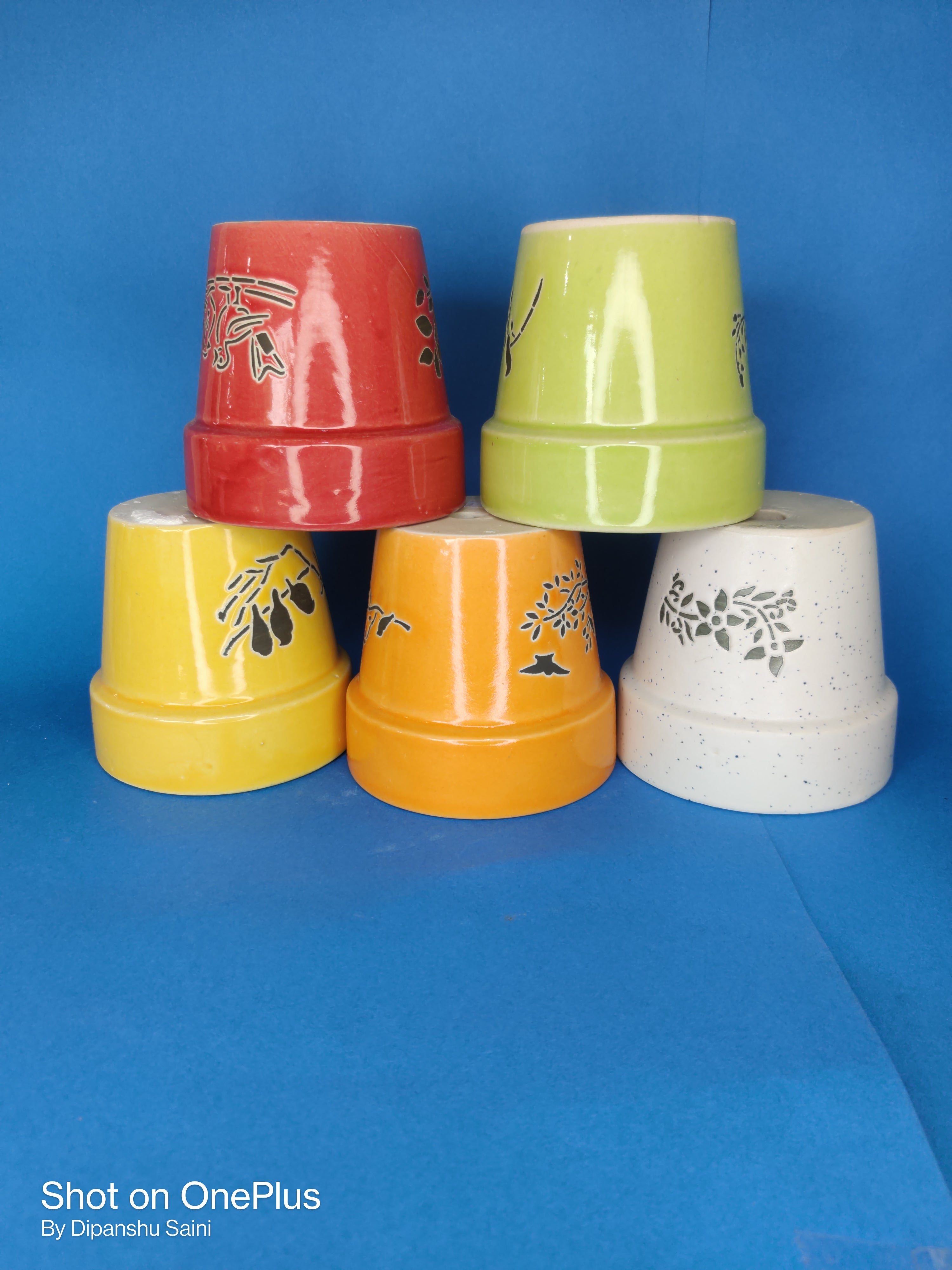 Ceramic Pot: Band Ashwini