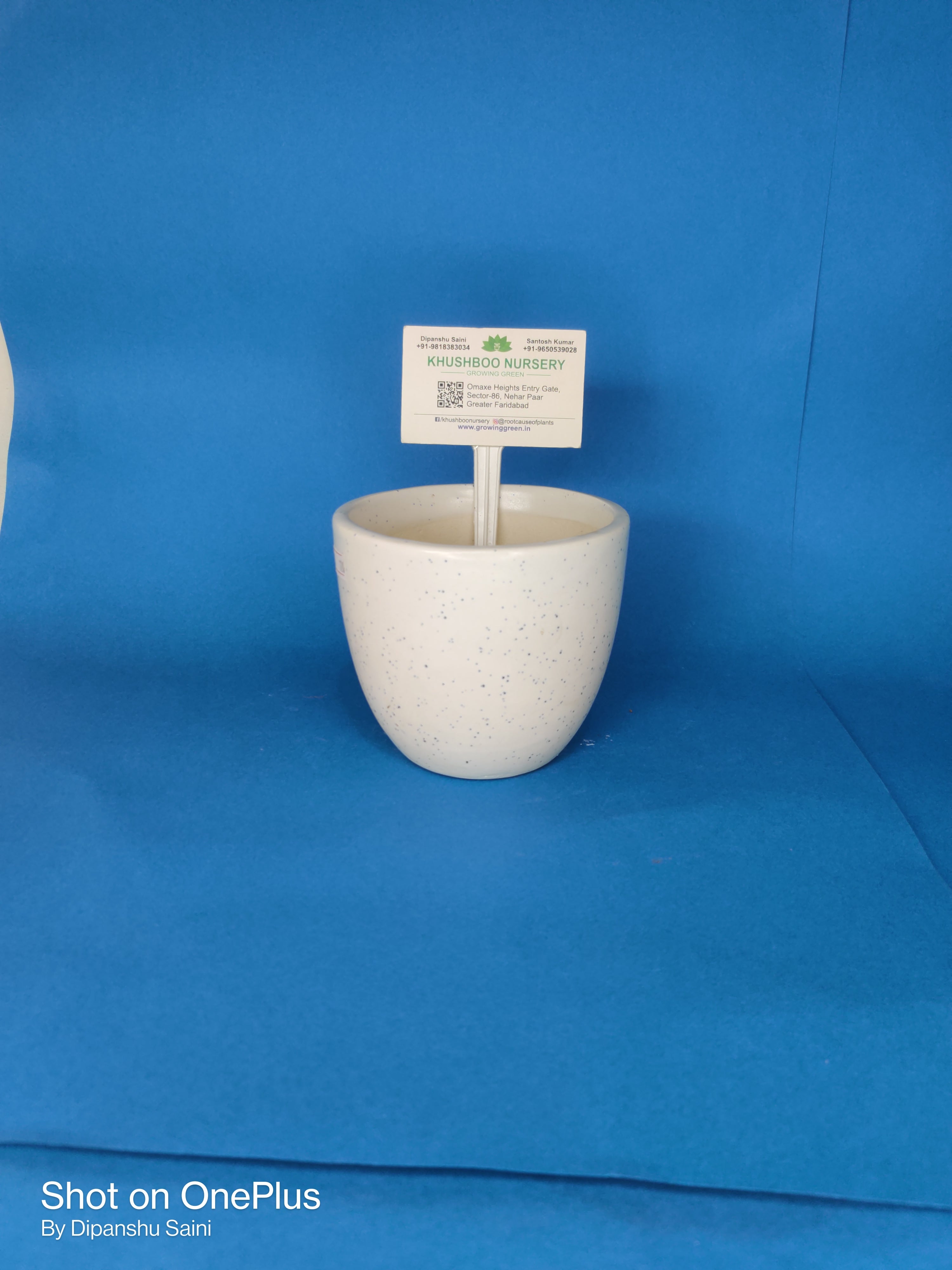 Ceramic Pot: Anda (Egg Shape)