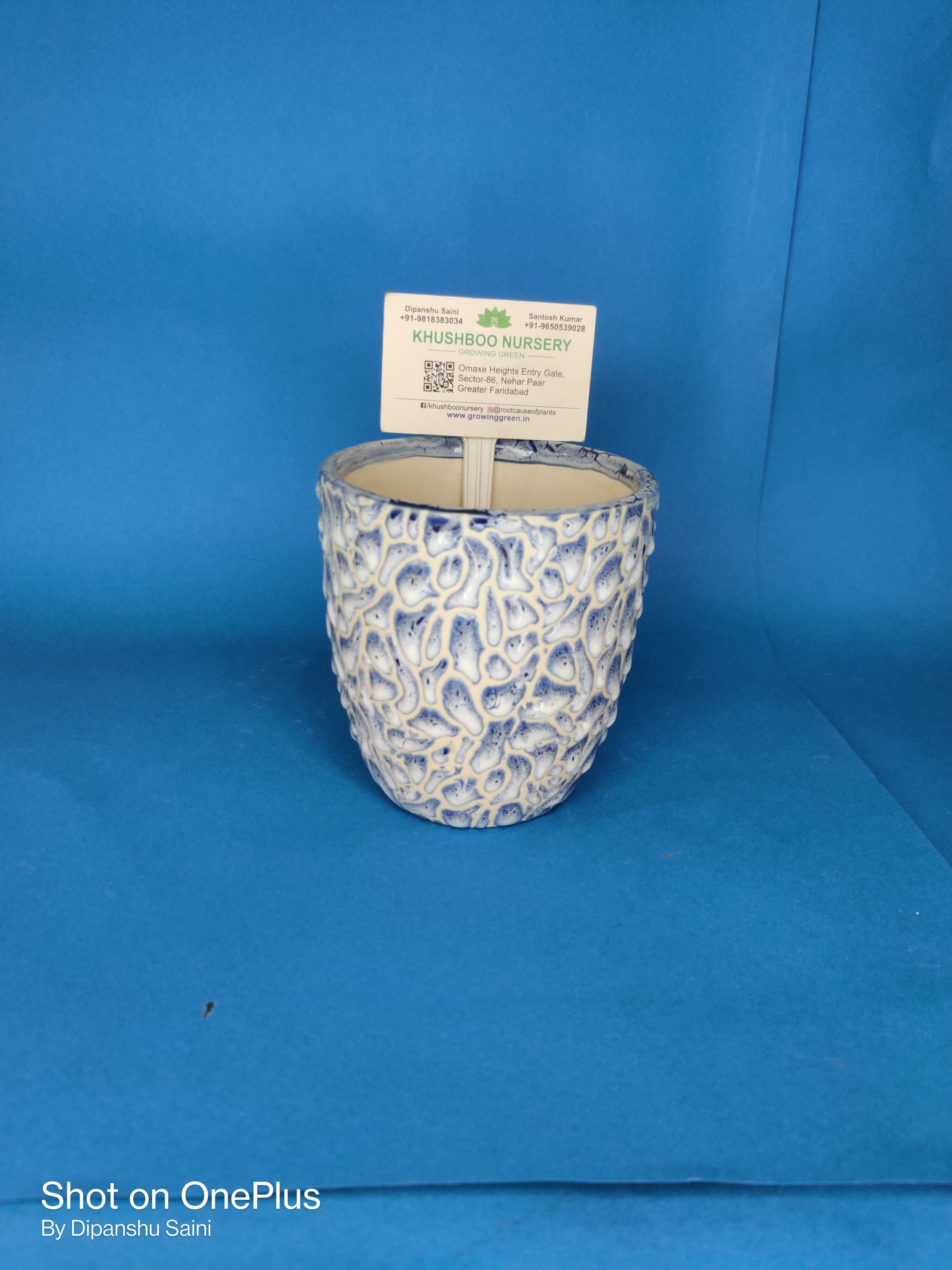 Ceramic Pot: Anda RD (Egg Shape)