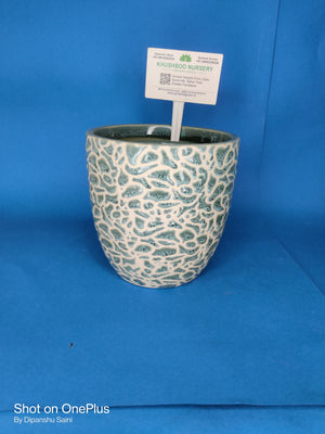 Ceramic Pot: Anda RD (Egg Shape)