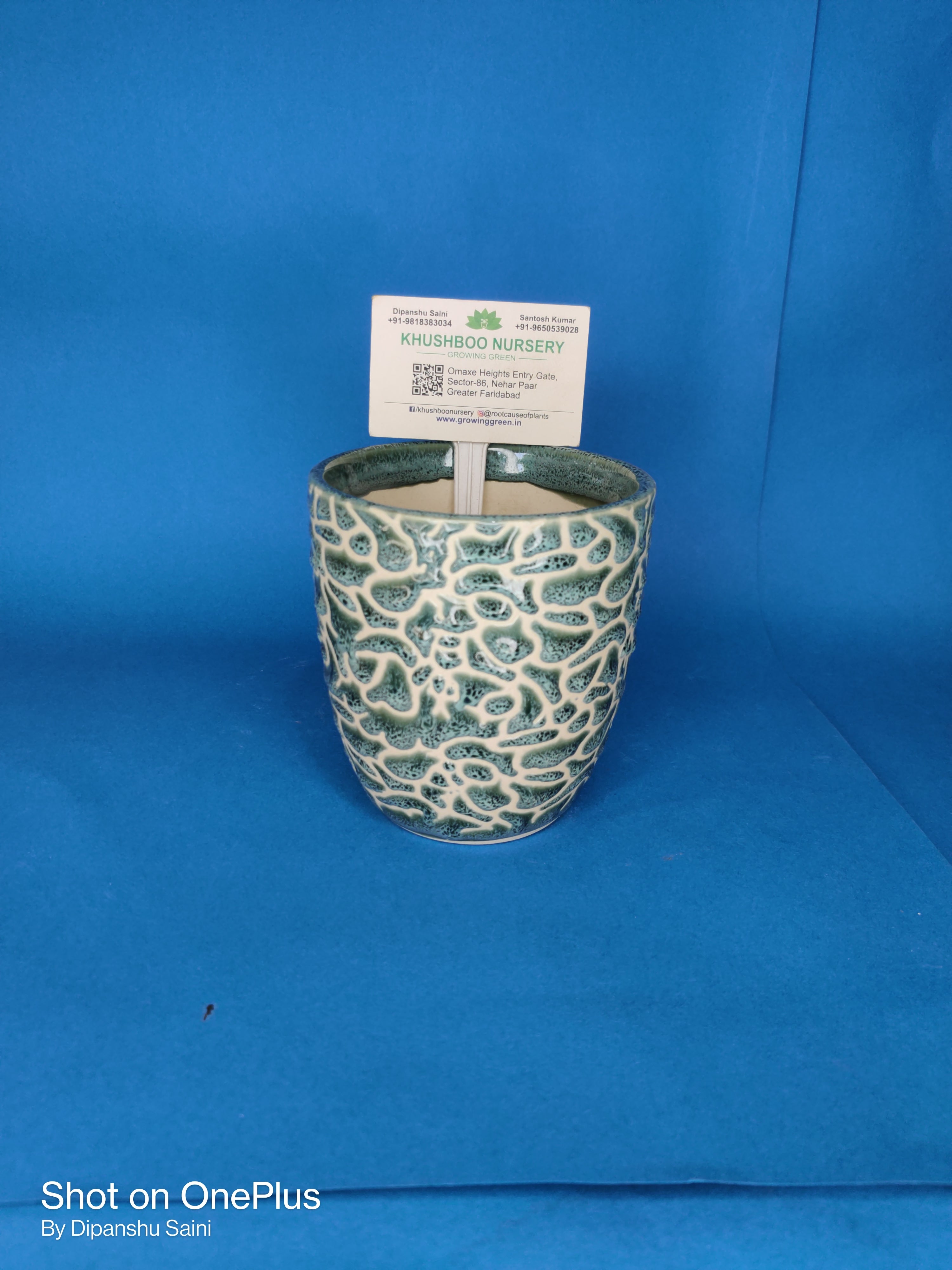 Ceramic Pot: Anda RD (Egg Shape)