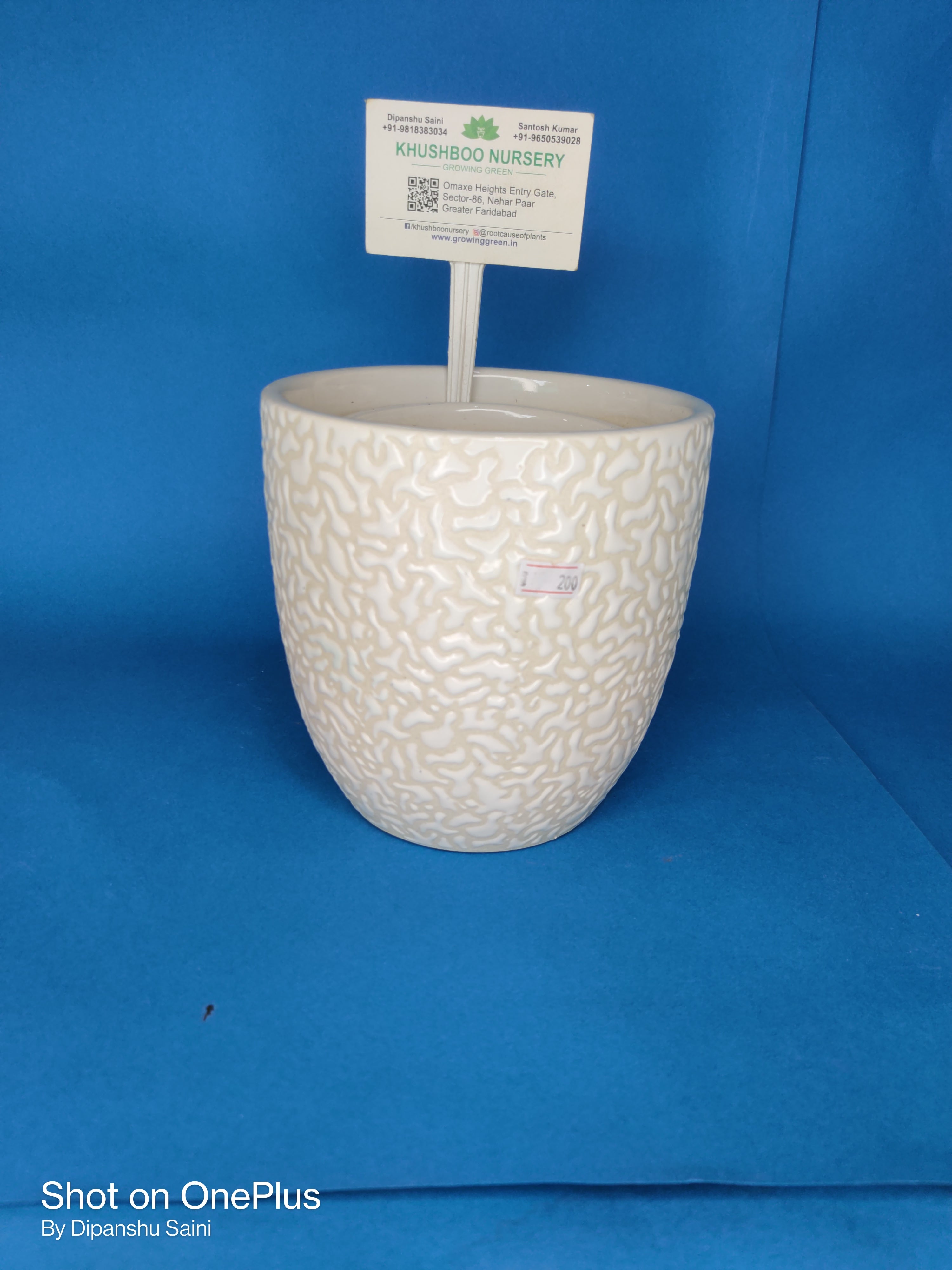 Ceramic Pot: Anda RD (Egg Shape)