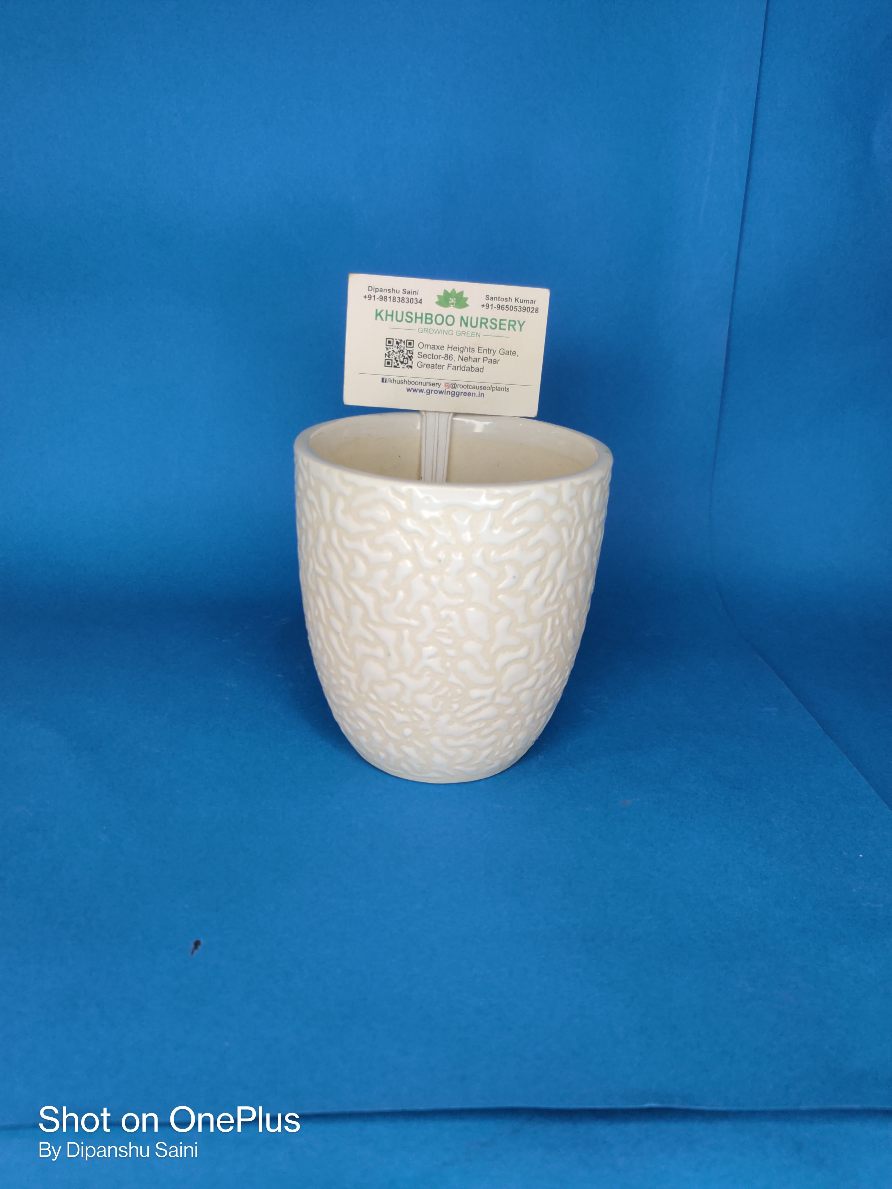 Ceramic Pot: Anda RD (Egg Shape)