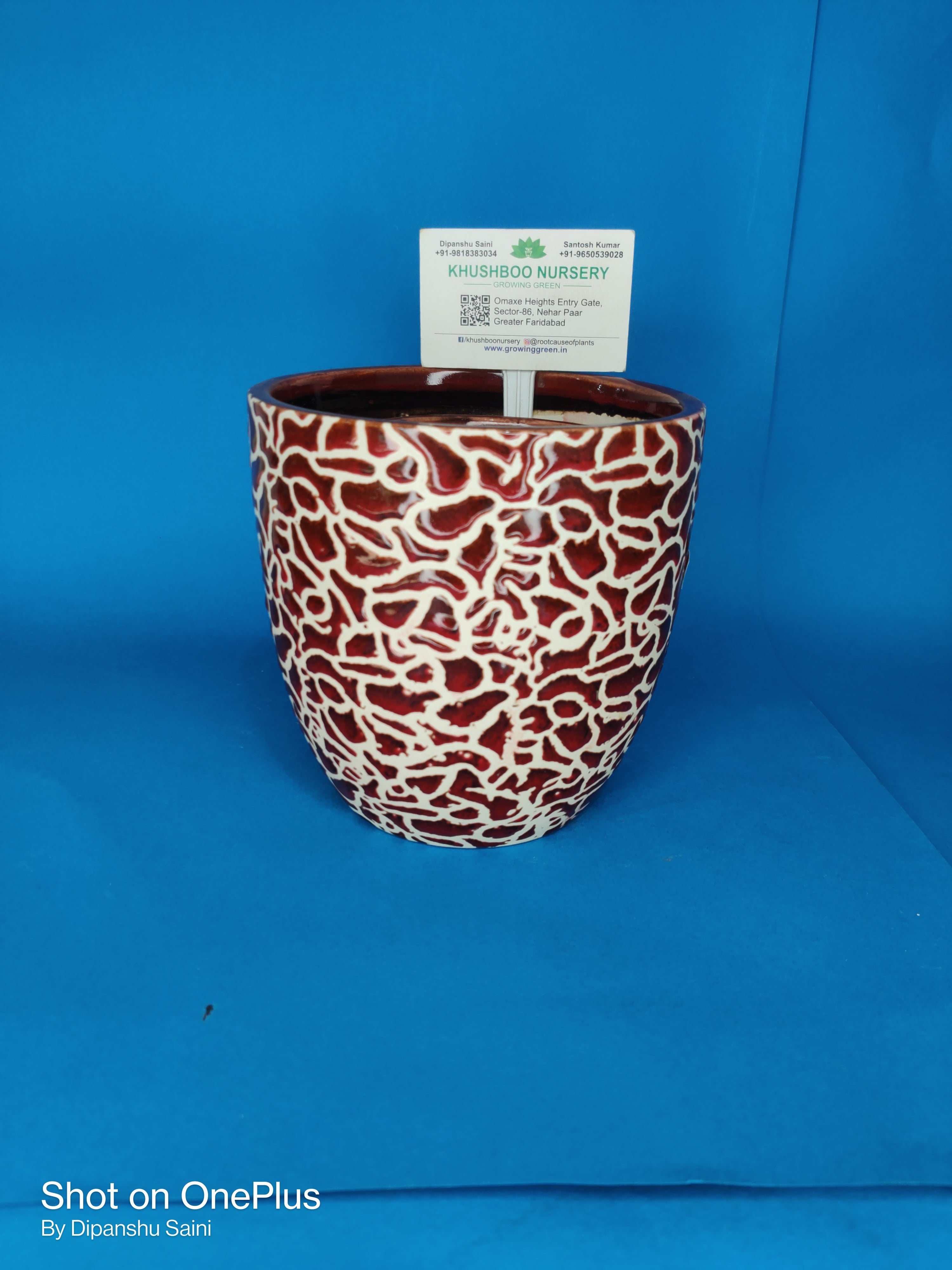 Ceramic Pot: Anda RD (Egg Shape)