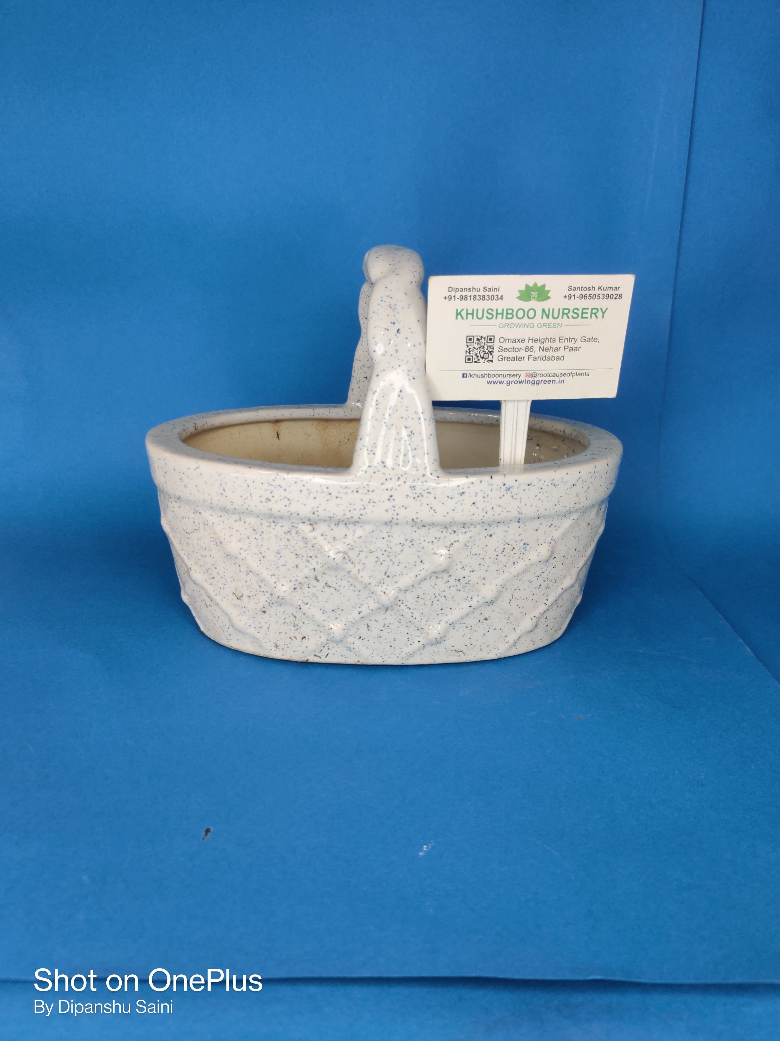 Ceramic Pot: Basket Succulent