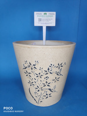 Ceramic Pot: Balti