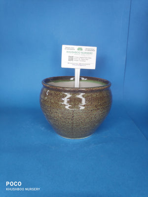 Ceramic Pot: Chudi Kulhad