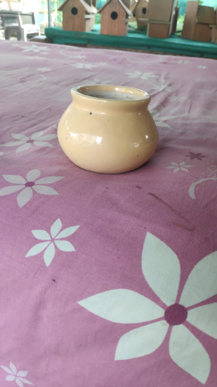 Ceramic Pot: Matki