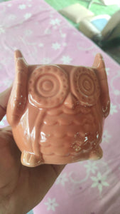 Ceramic Pot: Ullu (Owl)