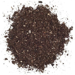 Potting Mix: Lightweight for Gift Pots